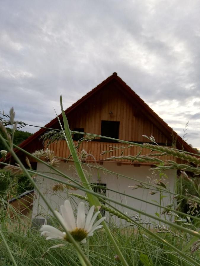 Bioferienhaus Muster - Dominkusch Possnitz Extérieur photo